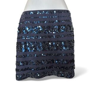 Express- Sequin Embellished Blue Skirt